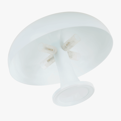 Soft Ivory